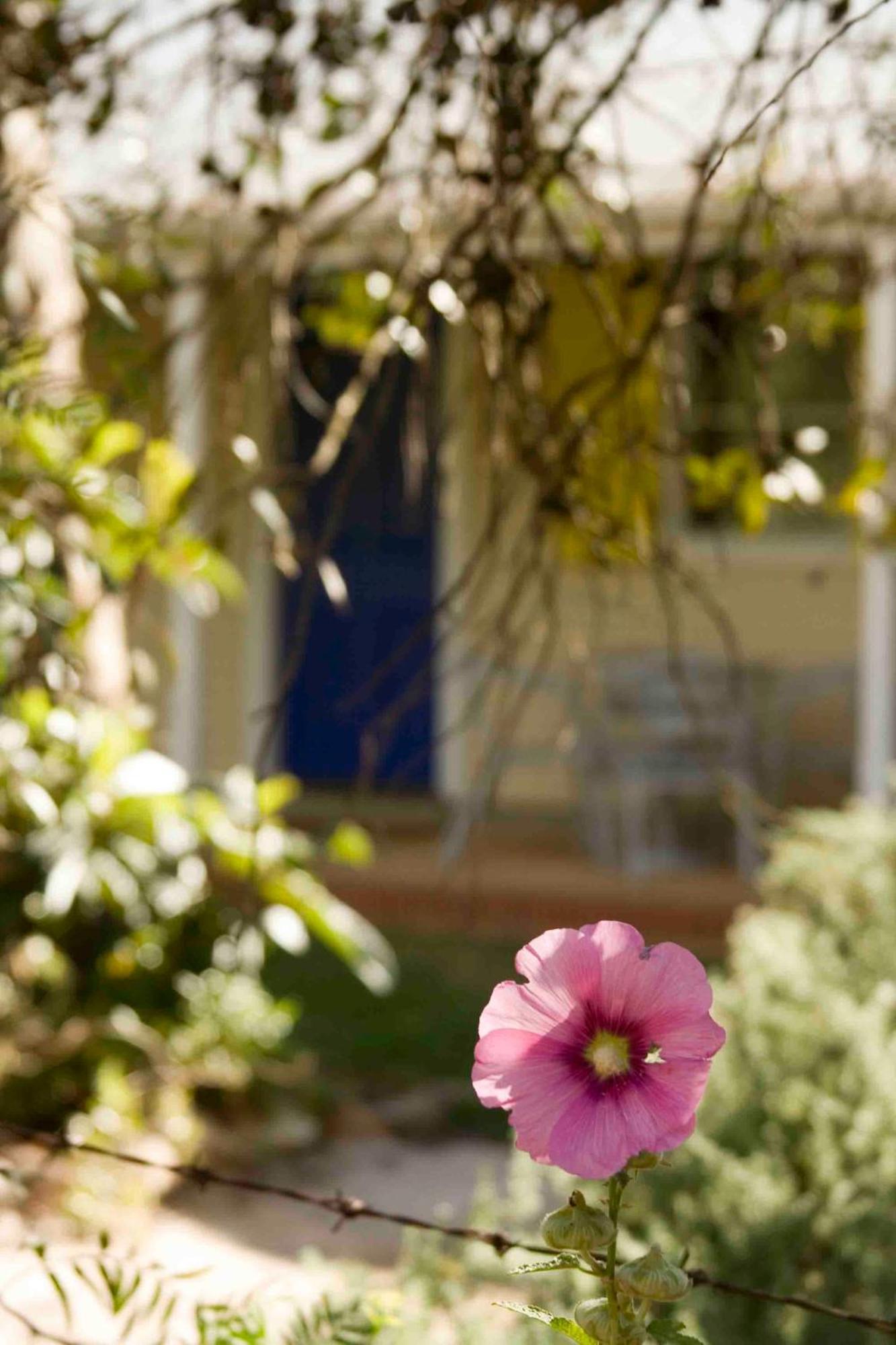 Amy'S House Bed & Breakfast Auburn Dış mekan fotoğraf