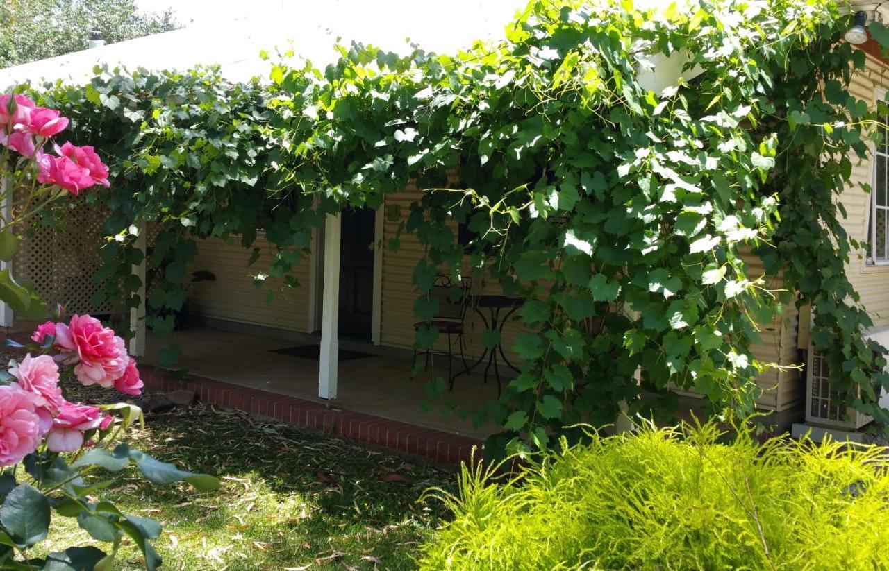 Amy'S House Bed & Breakfast Auburn Dış mekan fotoğraf